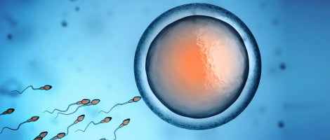 Producción de embriones