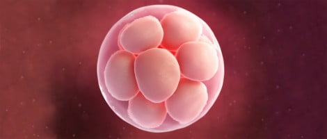 Anidación embrionaria