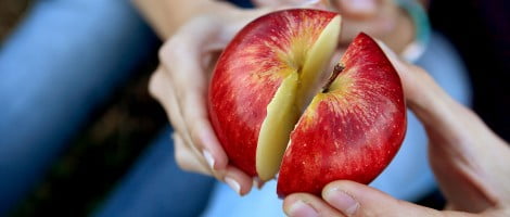 FIV con donación compartida