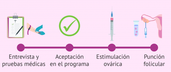 Proceso de ovodonación
