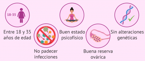Condiciones para donar óvulos