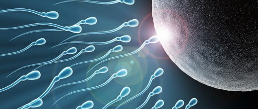 FIV con semen de donante anónimo