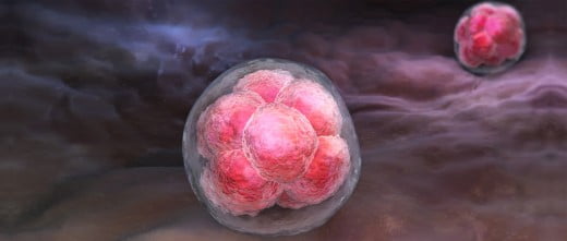 Implantación en el endometrio