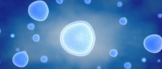 La ovodonación en fresco