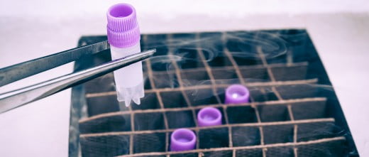 Semen de donante congelado