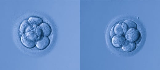 Donación o adopción de embriones sobrantes