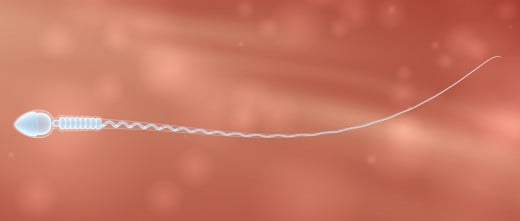 Espermatozoides de donante anónimo