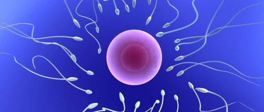 Fecundación in vitro convencional o ICSI