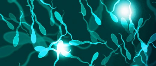 IA con semen de donante