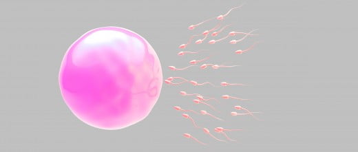 Fecundación in vitro con semen de donante