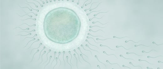 FIV con semen de donante