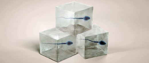 Semen de donante para FIV