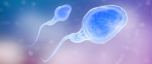 Donantes de semen