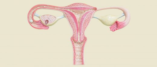Donación de semen para inseminación artificial