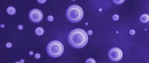 Regulación de donación de óvulos en Ucrania