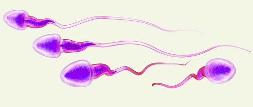 Emplear espermatozoides de donante