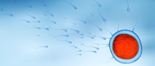 FIV con donación de óvulos