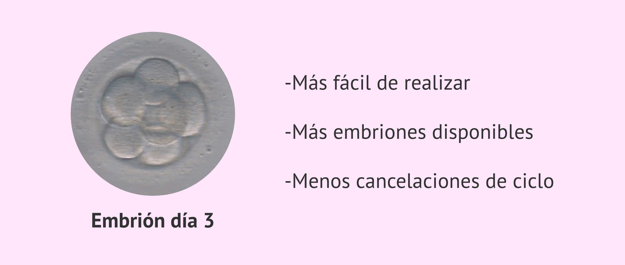 Transferencia en día 3